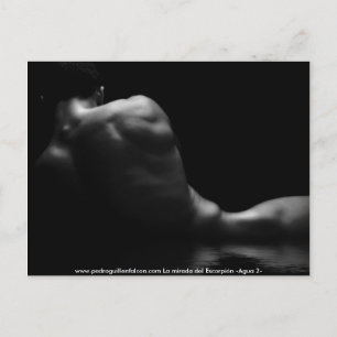 Cartão Postal www.pedroguillenfalcon.com
