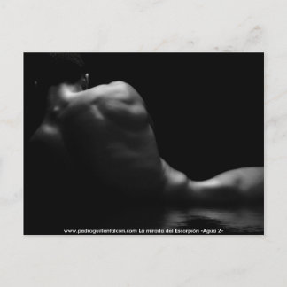 Cartão Postal www.pedroguillenfalcon.com