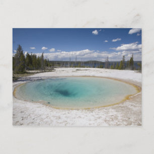 Cartão Postal WY, Parque Nacional Yellowstone, West Thumb Geyser