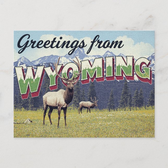 Cartão Postal Wyoming Elk Grand Teton Mountains (Frente)