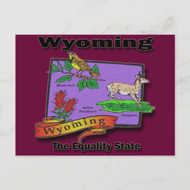 Cartão Postal Wyoming, Pássaro Estatal Da Igualdade, Querido Bus (Frente)