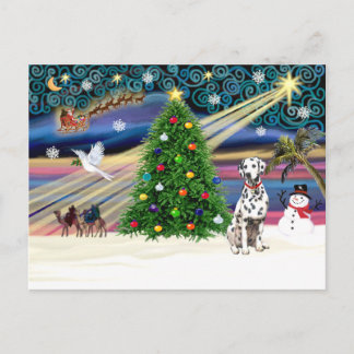 Cartão Postal XmsMagic-Dalmatian