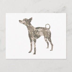Cartão Postal Xoloitzcuintli