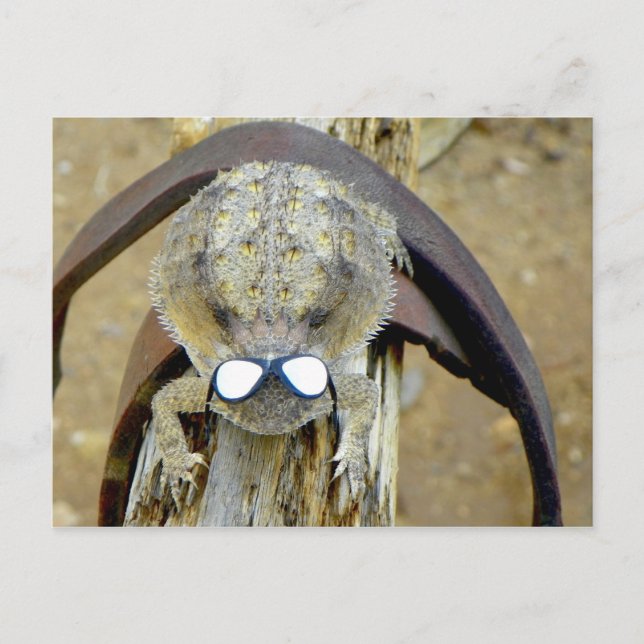 Cartão Postal xoxo, Troy...Oi Cherie... LOL... ou é o O.M.G. (Frente)