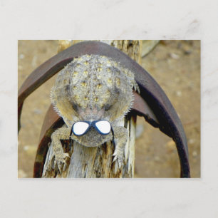 Cartão Postal xoxo, Troy... Olá Cherie...ou é o O.M.G.