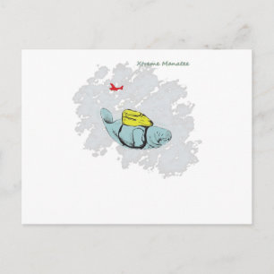 Cartão Postal Xtreme Manatee Skydiving