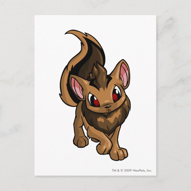 Cartão Postal Xweetok Brown (Frente)