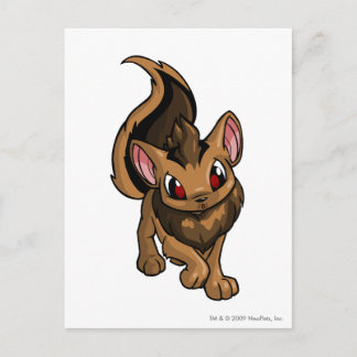 Cartão Postal Xweetok Brown