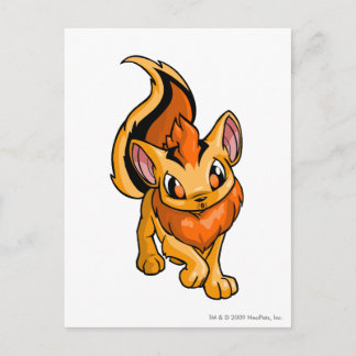 Cartão Postal Xweetok Orange
