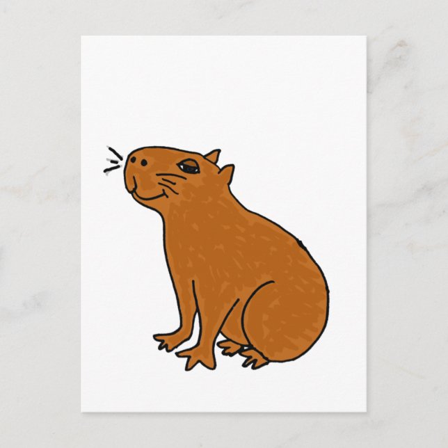 Cartão Postal XX- Arte Capivara (Frente)