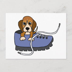 Cartão Postal XX - Cachorro de Beagle em um desenho de Calçado