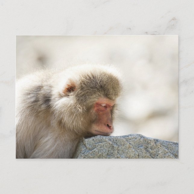 Cartão Postal Yamanouchi, Chubu, Província de Nagano, Japão (Frente)