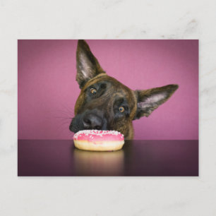 Cartão Postal Yamm Yamm