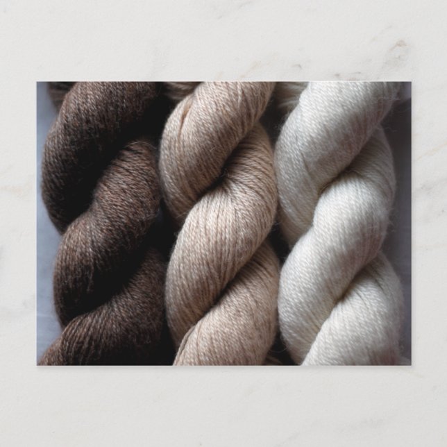 Cartão Postal Yarn Brown Beige Cream Colorido Alpaca (Frente)