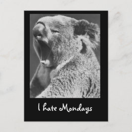 Cartão Postal Yawning Koala