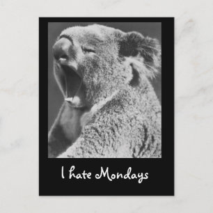Cartão Postal Yawning Koala