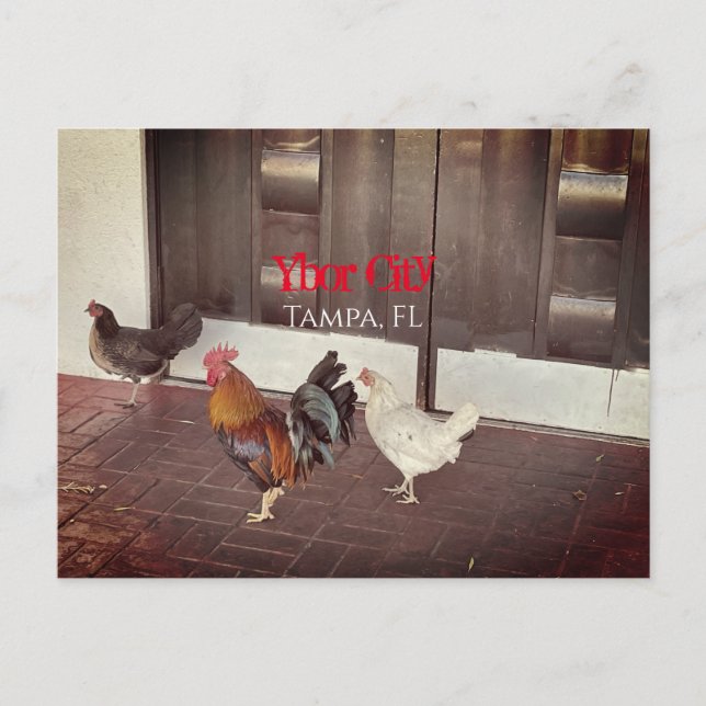 Cartão Postal Ybor City, Tampa FLORIDA (Frente)