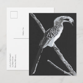 Cartão Postal Yellow Billed Hornbill, Kalahari Animal