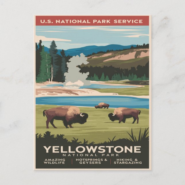 Cartão Postal Yellowstone Bison perto do lago (Frente)