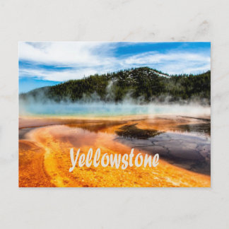 Cartão Postal Yellowstone National Park Monta Animais Naturais