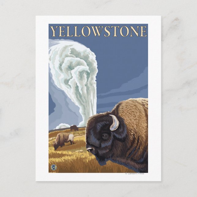 Cartão Postal YellowstoneBison com antiga fé (Frente)