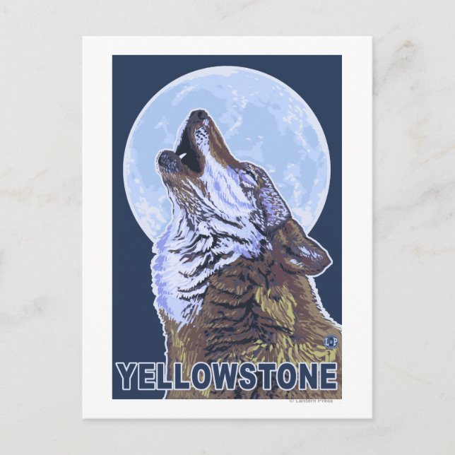 Cartão Postal YellowstoneHowling Wolf (Frente)