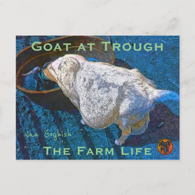 CARTÃO POSTAL YNOTME VAN GOGHISH GOAT AT TROUGH2 (Frente)