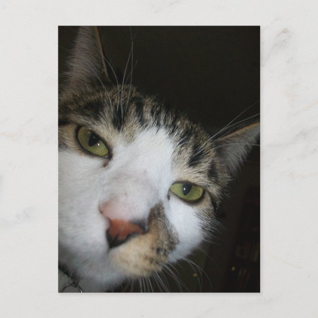 Cartão Postal Yo! (Frente)