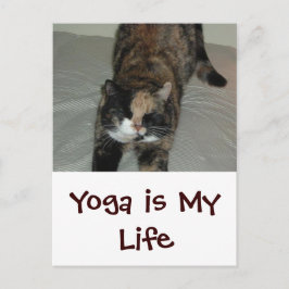 Cartão Postal Yoga Cat