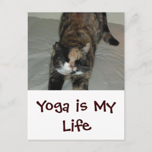 Cartão Postal Yoga Cat