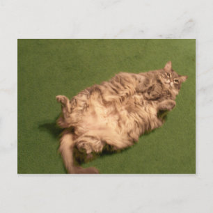 Cartão Postal Yoga Gatinho Diário da Moça Fumaça