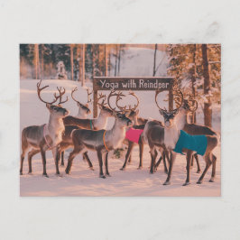 Cartão Postal Yoga Reindeer Christmas