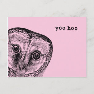 Cartão Postal Yoo Hoo Owl Saudação a Rosa
