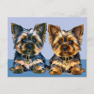 Cartão Postal Yorkie