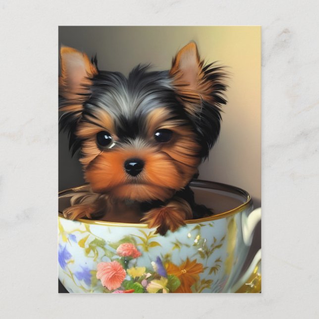 Cartão Postal Yorkie Adorável Em Um Teacup (Frente)