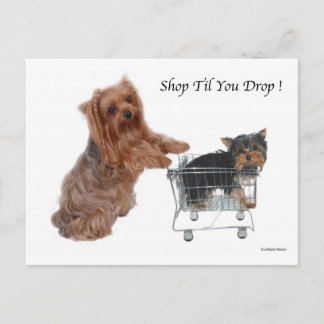 Cartão Postal Yorkie Compre Até Você Cair