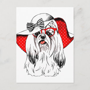 Cartão Postal Yorkie Fashion Shoot