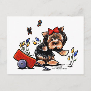 Cartão Postal Yorkie no jardim