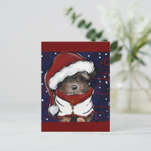 Cartão Postal Yorkie Poo