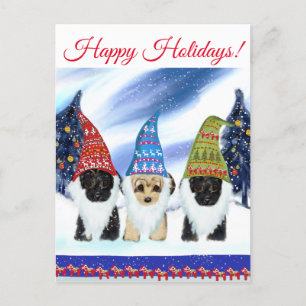 CARTÃO POSTAL YORKIE POO