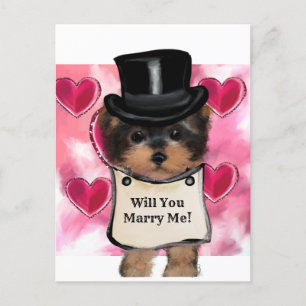 Cartão Postal Yorkie Poo