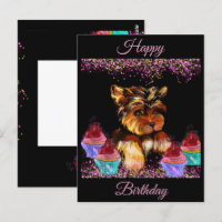 Yorkie Poo