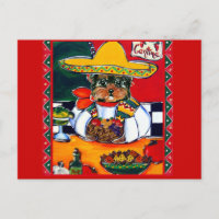 Yorkie Poo Cinco de Maio