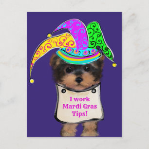 Cartão Postal Yorkie Poo y
