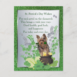 Cartão Postal Yorkie Puppy Health Sorte Felicidade St Patty Dese