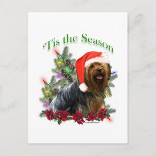 Cartão Postal Yorkie 'Tis the Season