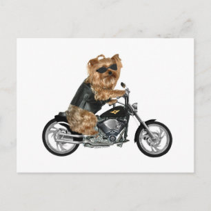 Cartão Postal Yorkie Yorkshire Terrier Biker