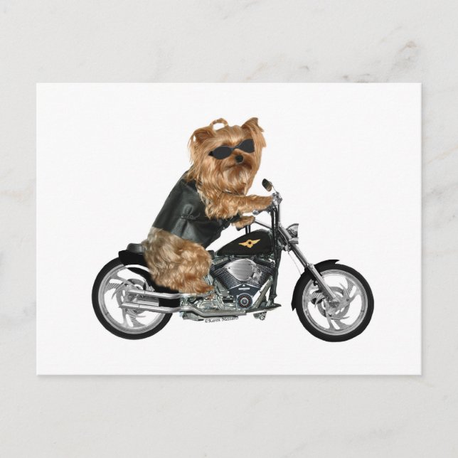 Cartão Postal Yorkie Yorkshire Terrier Biker (Frente)