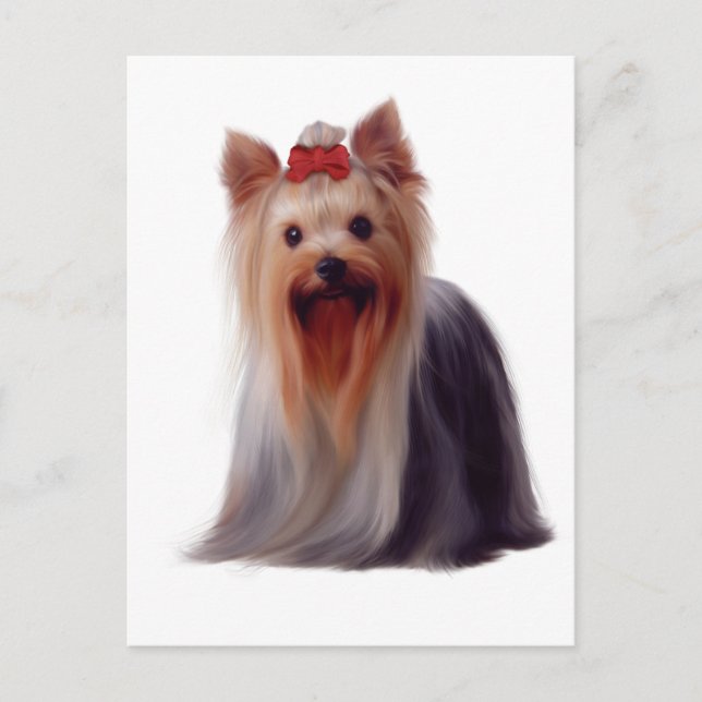 Cartão Postal Yorkshire Terrier (Frente)