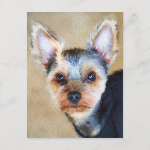 Cartão Postal Yorkshire Terrier